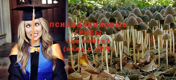 ешки Магас