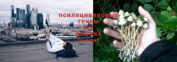 ешки Магас
